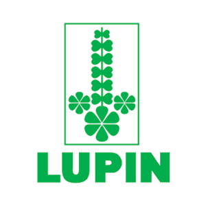 Lupin